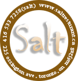 salt_logo